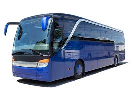 BUS100